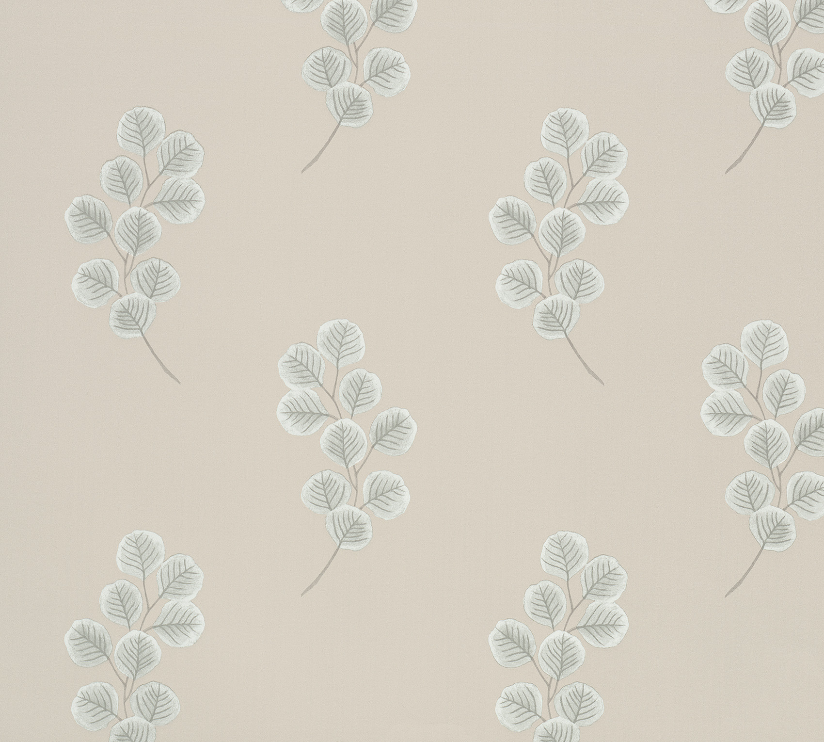 Обои Paint & Paper Library Botany Honesty Slate V 0360HOSLATE